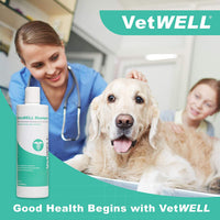Champú Ketoconazole de clorhexidina para perros y gatos – Champú antifúngico y antiséptico medicado para el tratamiento de gusanos de anillo, infecciones de la levadura, acné, nariz y puntos calientes, avena y aloe aroma de menta de 304 ml - BESTMASCOTA.COM
