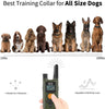 Collar de entrenamiento para perros con mando a distancia, 3 modos de entrenamiento, incluyendo pitido y vibración, collar impermeable recargable para perros, rango de 1000 pies, seguro y eficaz para perros grandes y medianos. - BESTMASCOTA.COM