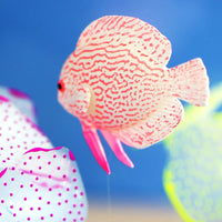 gootrades - Juego de 3 piezas de peces artificiales efecto brillante para acuario decoración flotante - BESTMASCOTA.COM