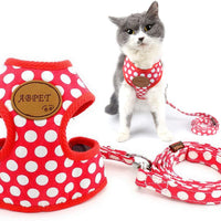 Ranphy - Arnés, sin tirar, acolchado, chaleco y correa para pasear con arnés de entrenamiento para niños y niñas, malla ajustable para gatos - BESTMASCOTA.COM