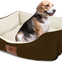 American Kennel Club - BESTMASCOTA.COM