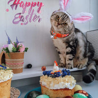 Boombone Collar de gato de Pascua con campana, collar de cachorro naranja para perros pequeños - BESTMASCOTA.COM