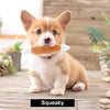 Nocciola - Juguetes de peluche, 12 unidades, para perros pequeños, medianos, juguetes para mascotas, juguetes chirriantes, juegos de peluche, bolsa de transporte - BESTMASCOTA.COM