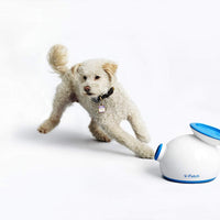 iFetch Interactive Ball Launchers for Dogs - BESTMASCOTA.COM