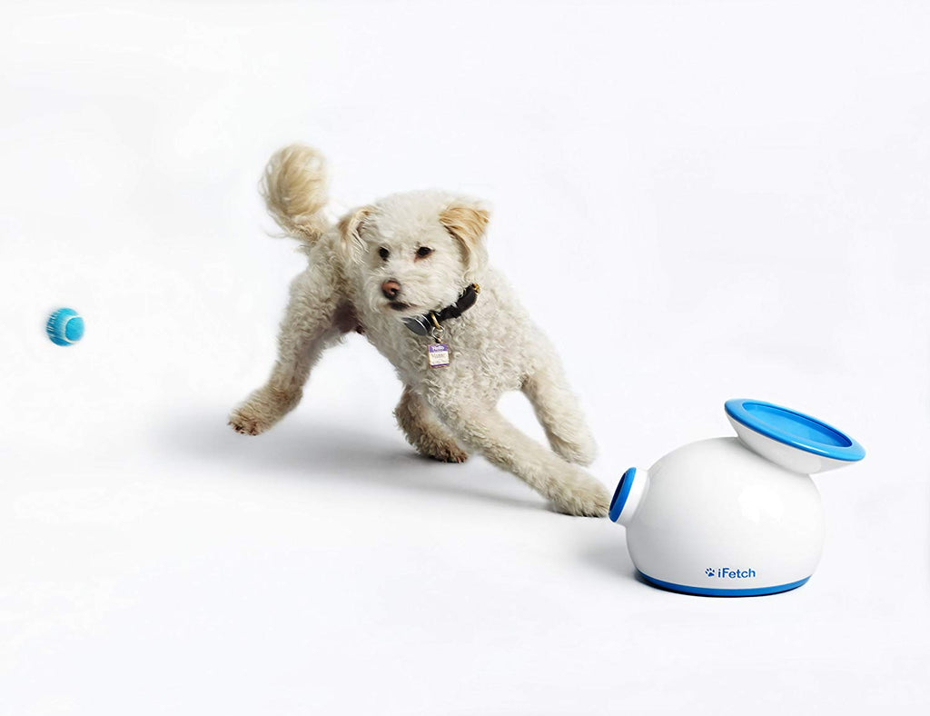 iFetch Interactive Ball Launchers for Dogs - BESTMASCOTA.COM