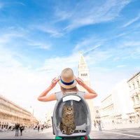 Henkelion - Mochila con cápsula espacial para transportar gatos, perros pequeños o mascotas; adecuada para senderismo, porta mascotas aprobado por aerolíneas color gris