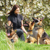 FunniPets collar de entrenamiento para perro, de rango de 2600ft de longitud collar de choque impermeable para 2 perros con 4 modos de entrenamiento ligero estático vibración pitido - BESTMASCOTA.COM