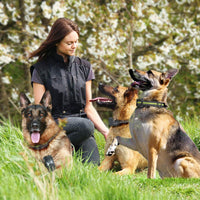 FunniPets collar de entrenamiento para perro, de rango de 2600ft de longitud collar de choque impermeable para 2 perros con 4 modos de entrenamiento ligero estático vibración pitido - BESTMASCOTA.COM