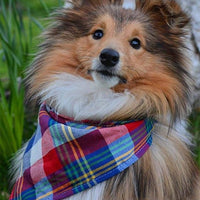 Bandana para perro, 4 unidades, lavable, reversible, a cuadros, para perros y gatos - BESTMASCOTA.COM