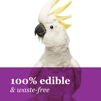 F.M. Brown 's Tropical Carnaval natural Chili cápsulas de pimienta Treat para cacatúas, loros, papagayos, guacamayos y otras aves de mascotas, sun-ripened y cosechado, sin sabores artificiales, 2.5oz - BESTMASCOTA.COM
