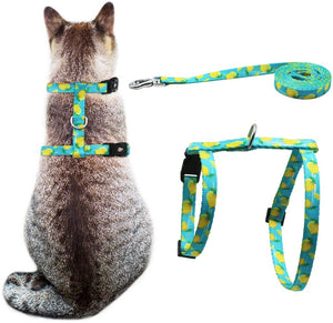 Azuza Arnes y Correa para gato para caminar a prueba de escape lindos limones en color brillante suave y ajustable arnes para gatos BESTMASCOTA.COM