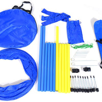 Equipo de entrenamiento para perros Pawhut, de agilidad, con obstáculos, en color azul y amarillo - BESTMASCOTA.COM