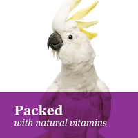 Brown 's tropical Carnaval Gourmet Parrot Treats - BESTMASCOTA.COM
