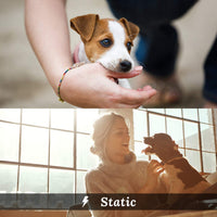 Peteme Dog Training Shock Collar Rechargeable with Beep/Vibra/Electric Shock,100% Waterproof, 1200 ft Remote Trainer Range Collar for Small Medium Large Dogs. - BESTMASCOTA.COM