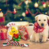 Toozey - Juego de 3 juguetes de Navidad para perro, cuerda de algodón 100% natural, juguetes duraderos para masticar perros y muñeco de nieve para perros pequeños y cachorros - BESTMASCOTA.COM