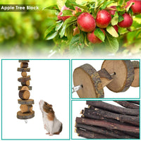 ERKOON New 12 Pack Hamster Chew Toys Gerbil Rat Guinea Pig Chinchilla Chew Toys Accessories, Natural Wooden Dumbbells Exercise Bell Roller Teeth Care Molar Toy for Rabbits Bird Rabbits Hamster Gerbil - BESTMASCOTA.COM