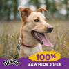 Dingo Delights, 100 % tratamientos libres de rawhide, pollo, 9 unidades, talla única - BESTMASCOTA.COM