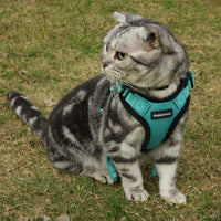 rabbitgoo Cat Harness and Leash Set for Walking, Escape Proof Adjustable Soft Vest for Large Cat Small Pets, Reflective Strip Metal Clip Ring Outdoor Cat Jacket Harness with 2 Long Cat Leashes - BESTMASCOTA.COM