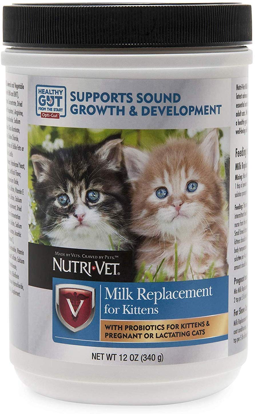 Recambio de leche Nutri-Vet para gatitos con probióticos - BESTMASCOTA.COM