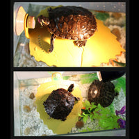 Plataforma de balanceo para decoración de cangrejo y depósito de tortuga anfibia, material de polipropileno de grado alimentario y diseño de hoja, 7.5 in de largo - BESTMASCOTA.COM
