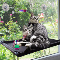 Hamaca para ventana de gato, perca, perca para gato, hamaca, ventana, cama, gato, ventana, asiento para gatito, asiento soleado, percha para mascotas grande duradera con 4 ventosas grandes mejoradas, para gatos con capacidad para hasta 60 libras - BESTMASCOTA.COM
