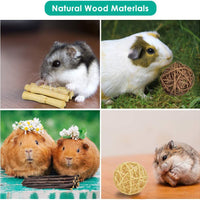 ERKOON New 12 Pack Hamster Chew Toys Gerbil Rat Guinea Pig Chinchilla Chew Toys Accessories, Natural Wooden Dumbbells Exercise Bell Roller Teeth Care Molar Toy for Rabbits Bird Rabbits Hamster Gerbil - BESTMASCOTA.COM