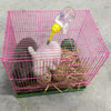 PIVBY Juguete de actividad para animales pequeños, juguetes de masticar para conejos, conejos, cobayas, gérbiles, 4 unidades - BESTMASCOTA.COM