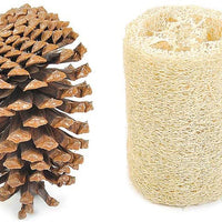 Niteangel 4-Pack de divertido y seguro juguetes para animales pequeños - BESTMASCOTA.COM