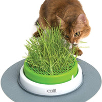 Catit - Maceta con follaje Senses 2.0 - BESTMASCOTA.COM