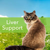 Pet bienestar – Cardo de Leche para gatos – Natural apoyo para la salud Feline Hígado – 2OZ (59ml) - BESTMASCOTA.COM