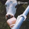 Nevlers 2 Pack All Natural Pure Himalayan Salt Licks for Animals - Great for Horses, Cows, Deer, and Other Livestock - Ropes Included - 4.5-6.5 lbs Each - BESTMASCOTA.COM