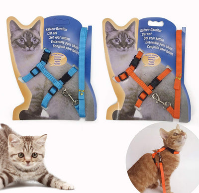 Gizhome - 2 arnés y correa ajustables de nailon para gato, color naranja y azul claro - BESTMASCOTA.COM