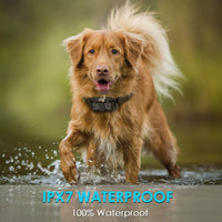Slopehill Dog Training Collar, Waterproof Dog Shock Collar with Remote, Rechargeable Dog Collar with Vibration, Beep Shock Modes, Adjustable - BESTMASCOTA.COM