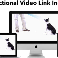 ShakeTrainer - Kit de entrenamiento para perros con vídeo instructivo, para detener los malos comportamientos de tu perro en minutos sin golpear ni rociar, fácil de usar - BESTMASCOTA.COM