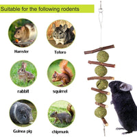 Juguetes para masticar los dientes, palitos de manzana orgánicas naturales para conejos, chinchillas, cobayas, hámsters masticando jugando mejorar la salud dental - BESTMASCOTA.COM