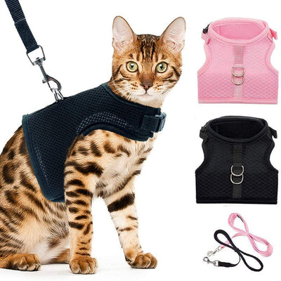 PUPTECK Juego de arnés para gatos a prueba de fugas, con correas, malla suave ajustable en negro y rosa, ideal para caminar fresco - BESTMASCOTA.COM