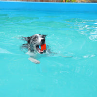 Pet President TPR LED Light Up and Squeaky 2.5 in Pet Ball Pet Supplies (2 unidades) - BESTMASCOTA.COM