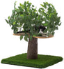 On2Pets Cat Condo Muebles - BESTMASCOTA.COM