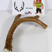 Perro masticar de asta de ciervo, tamaño mediano, 9 inches a 13 inches de largo. Perfecto para su a medio y tamaño grande Perros y cachorros. Grado A premium. Happy Dog garantía - BESTMASCOTA.COM