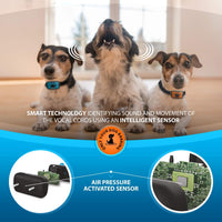 SparklyPets - Collar de corteza para perro (2 unidades) - BESTMASCOTA.COM