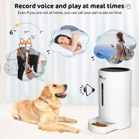 amzdeal - Comedero automático para gatos y perros, dispensador de alimentos para gatos con tamaño y tiempo de comida programable, 4 comidas por día, apto para perros y gatos - BESTMASCOTA.COM