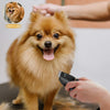 Dog Clippers Professional Heavy Duty Dog Grooming Clipper 3-Speed Low Noise High Power Rechargeable Cordless Pet Grooming Tools for Small & Large Dogs Cats Pets with Thick & Heavy Coats - BESTMASCOTA.COM