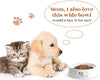 YHY Cuenco de cerámica para comida de gatos, 283 ml, no deslizante, cuenco para comida de gato, ancho y espeso, diseño elegante, color blanco, 6.5 pulgadas - BESTMASCOTA.COM