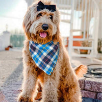Bandana para perro, 4 unidades, lavable, reversible, a cuadros, para perros y gatos - BESTMASCOTA.COM