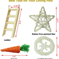 YUEPET Chinchilla Toys Guinea Pig Gerbil Rat Hamster Chew Toys Accessories Natural Wooden Seesaw Ladder Teeth Care Molar Toy for Bunny Rabbits Gerbils (Pack of 10) - BESTMASCOTA.COM