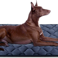 Colchón antideslizante lavable para perros grandes, medianos y pequeños - BESTMASCOTA.COM