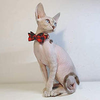 Collar de gato con lazo y campana para gato, ajustable, para mascotas y gatos. - BESTMASCOTA.COM