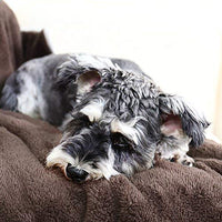 PAWZ - Manta para perro, suave, suave y cálida, doble cara, sin pelusas, para perros y gatos y animales pequeños, tamaño pequeño - BESTMASCOTA.COM