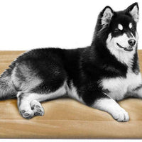 JoicyCo - Cama para perro, almohadilla 35/42/47 en camas lavables, colchón suave para perro, almohadillas antideslizantes para perrera, color de lujo - BESTMASCOTA.COM