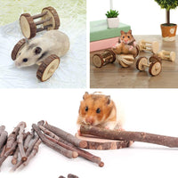 8 Pack Rat Chinchilla Chew Toys Accessories Bunny Rabbits Pet Chew Toys Pet Supplies Guinea Pig Accessories, Natural Wooden Gerbil Hamster Chew Toys Accessories for Birds Bunny Rabbits Gerbils - BESTMASCOTA.COM